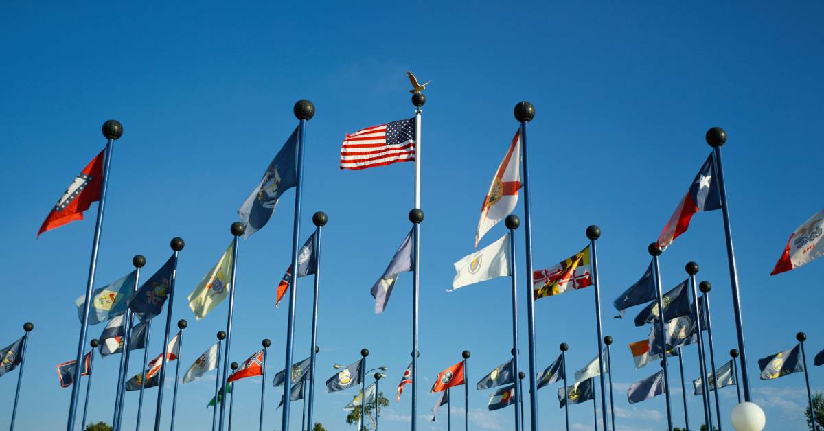 A gallery of state flags of the United States on flagpoles flying in the wind and grouped together in a large circle.