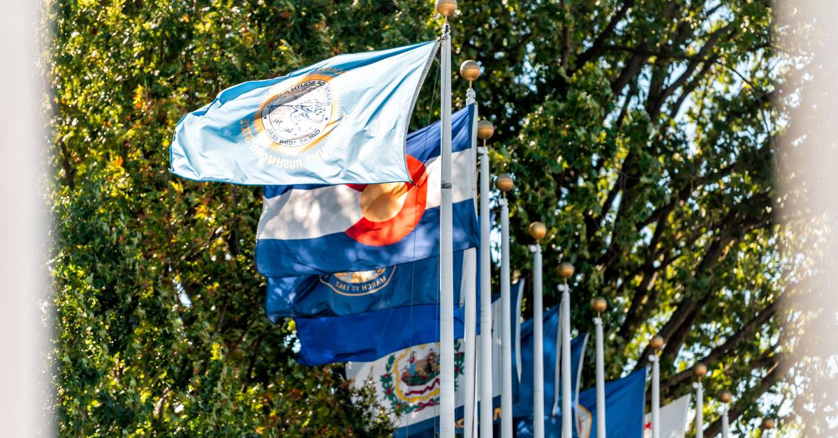 A row of flagpoles underneath a series of large trees. The flagpoles contain various US state flags flying in the wind.