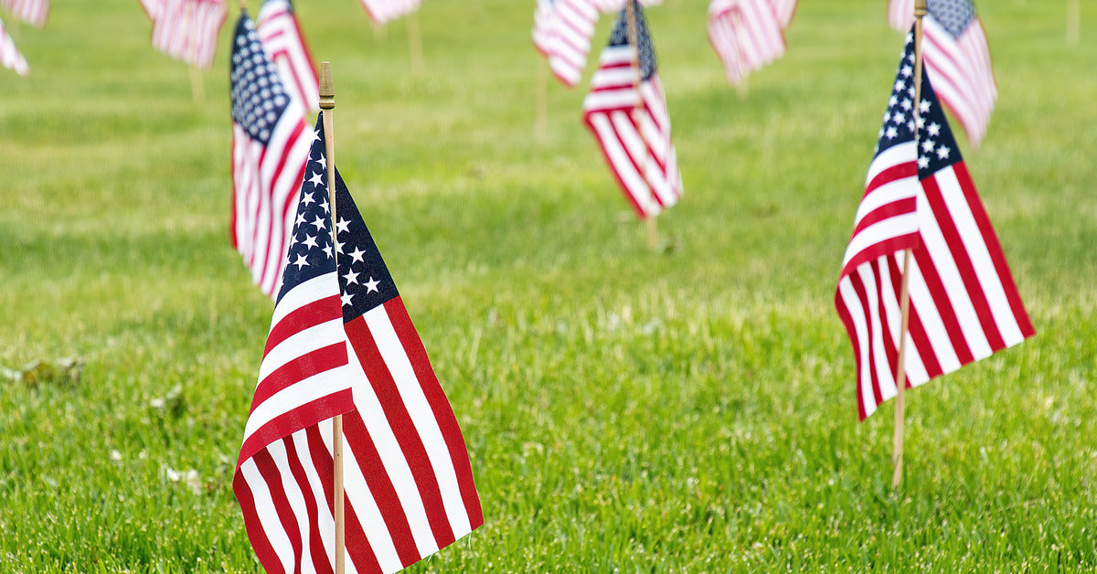 A green field with American national stick flags planted in the grass. The first flag is in focus while the rest are blurred.