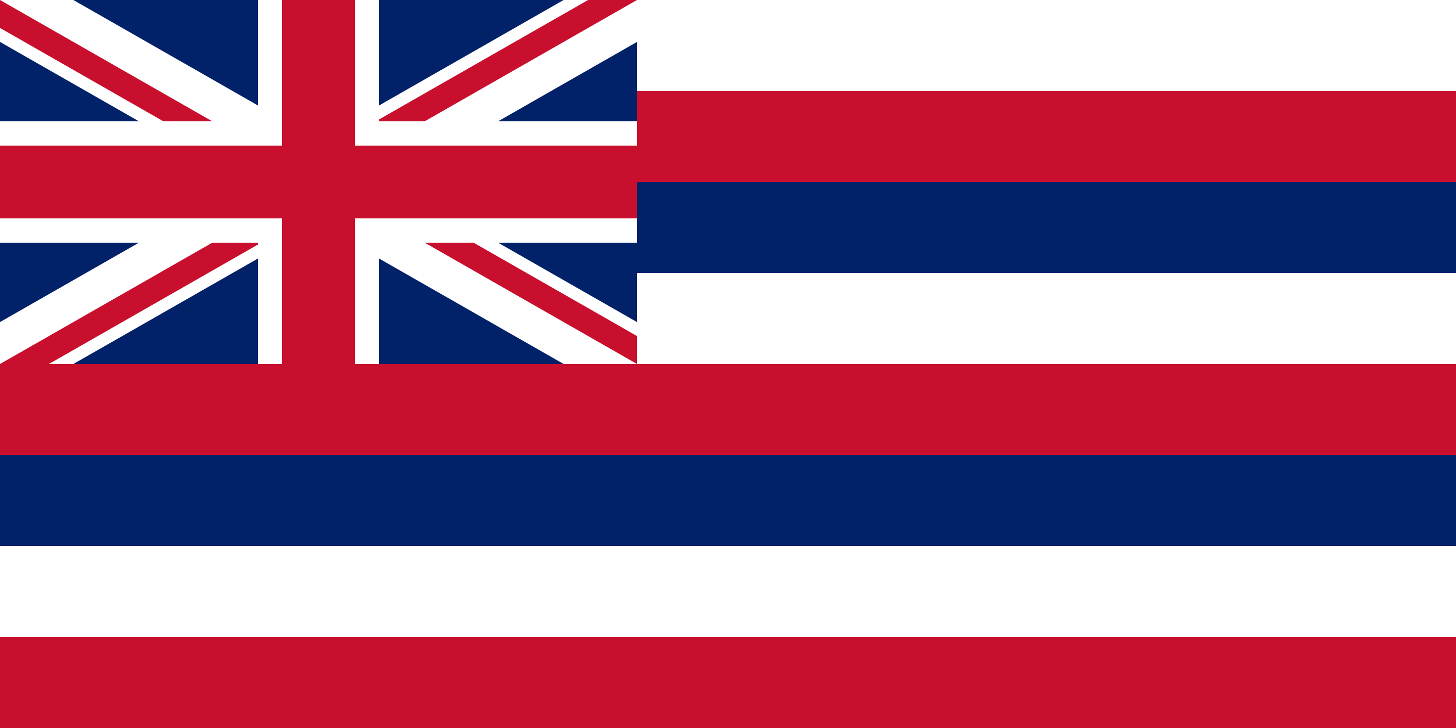 The Hawaii State Flag