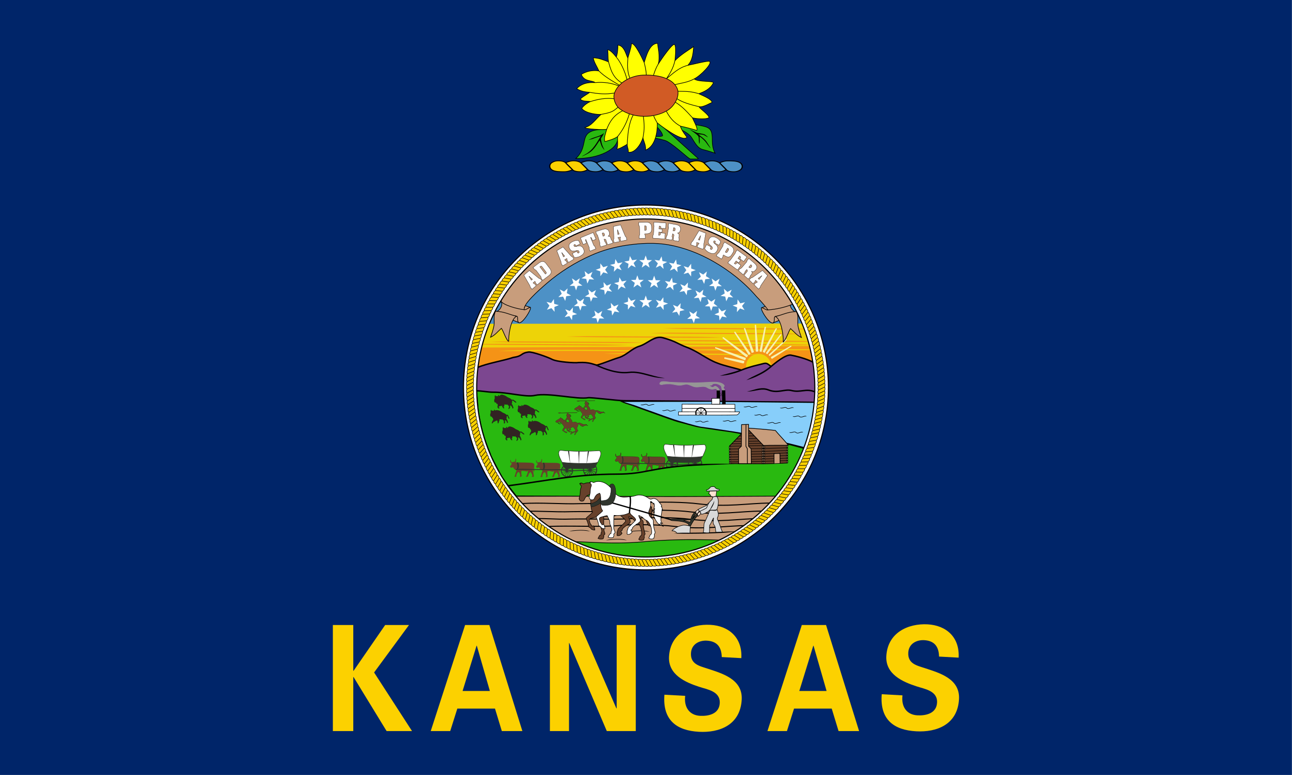 The Kansas State Flag