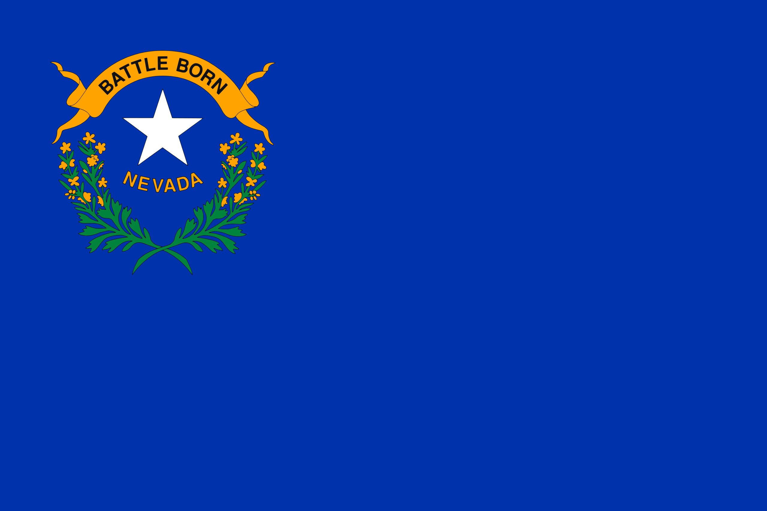 the Nevada state flag
