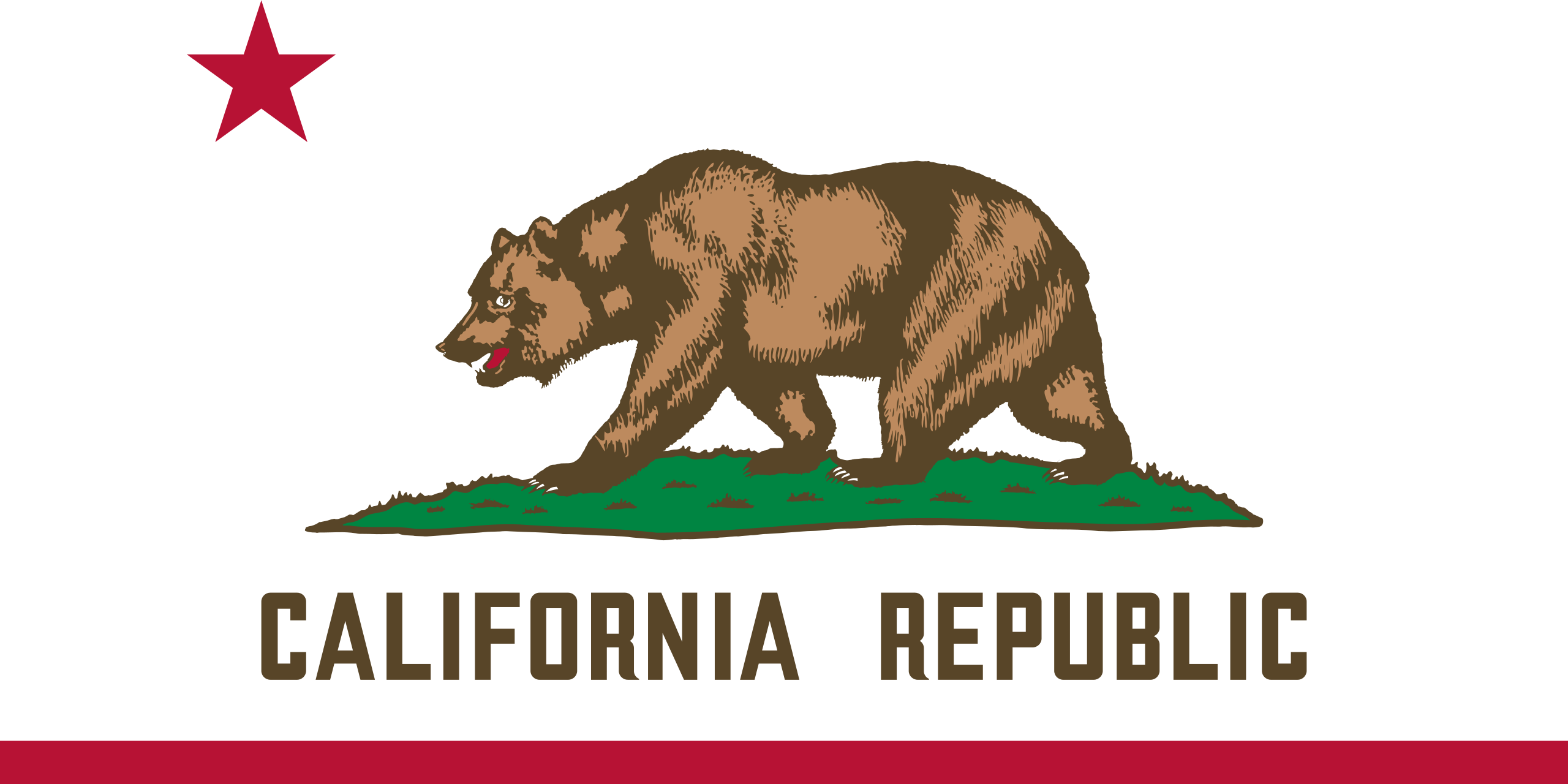 California Flags - Action Flag