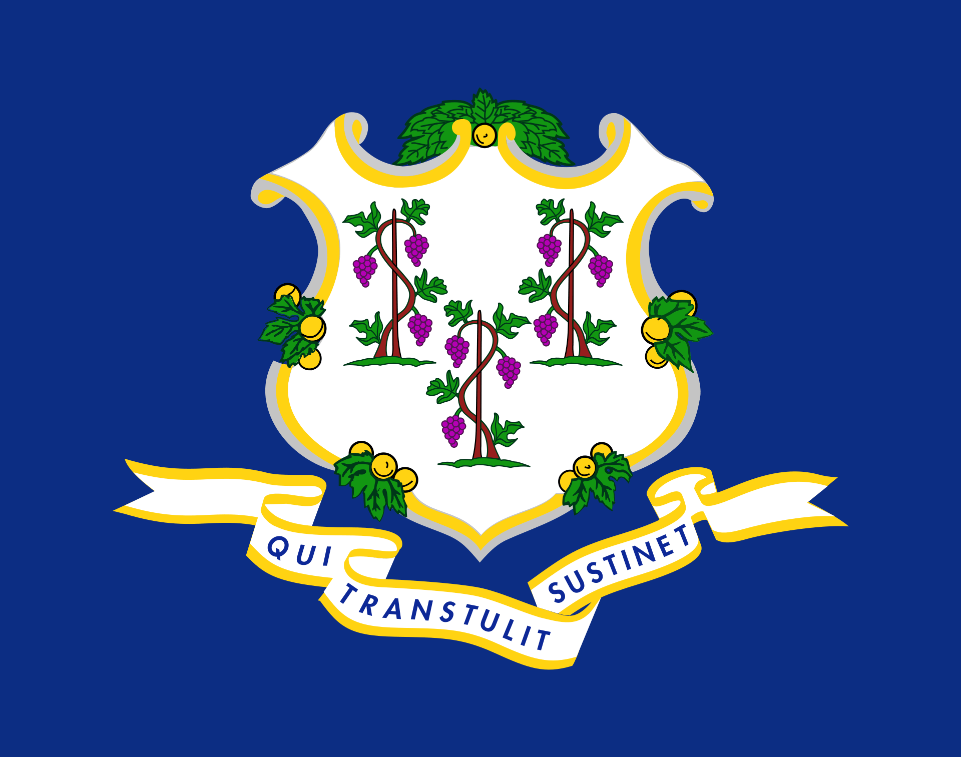 Connecticut Flags - Action Flag