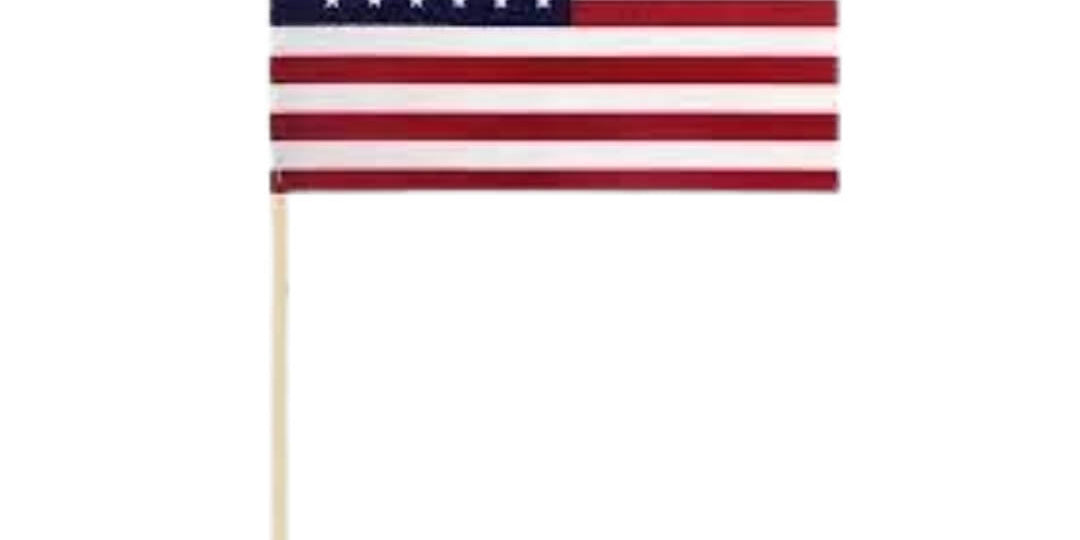 Hand Held Parade Flags - Action Flag