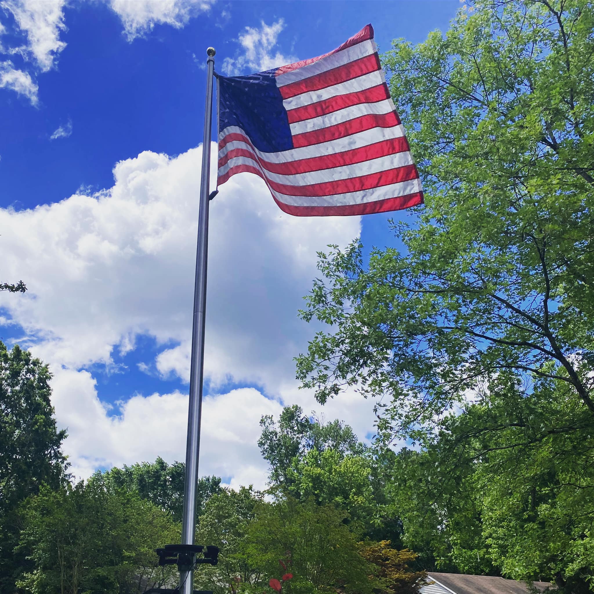 Home and Heart Collection - Action Flag
