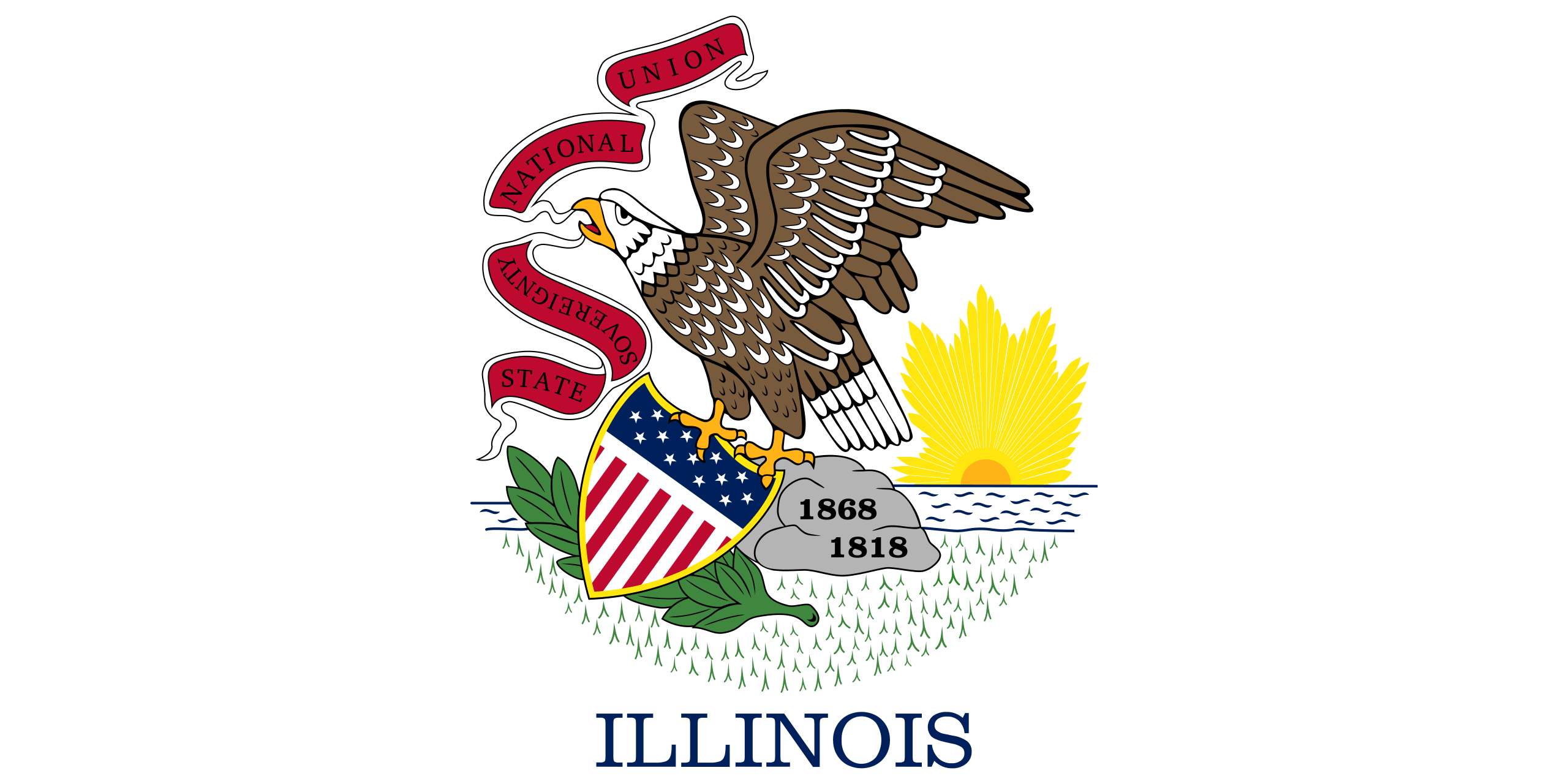 Illinois Flags - Action Flag