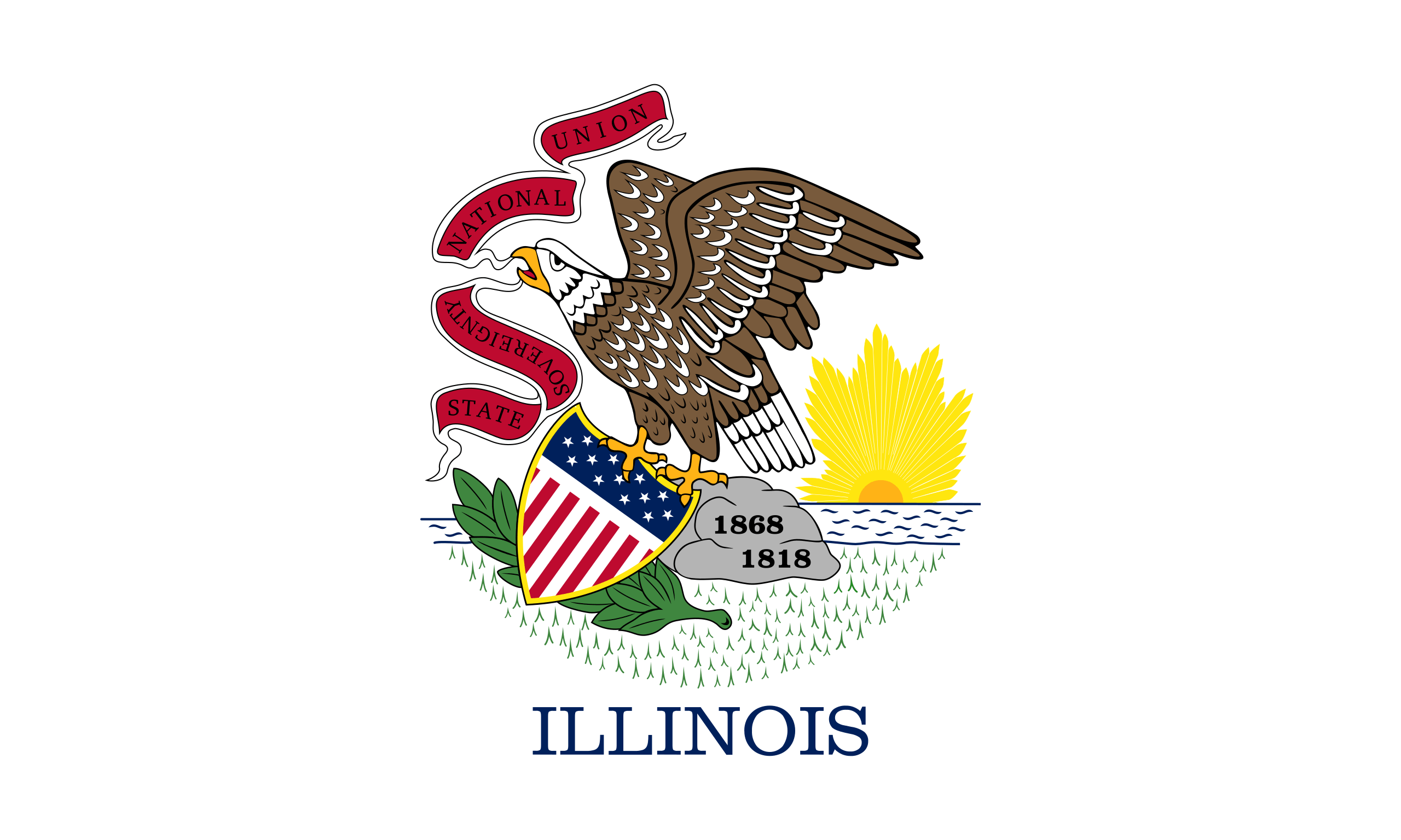 Illinois Flags - Action Flag