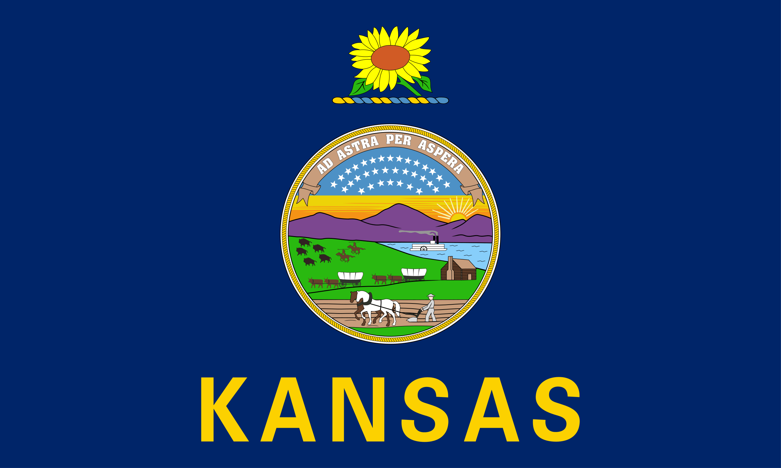 Kansas Flags - Action Flag