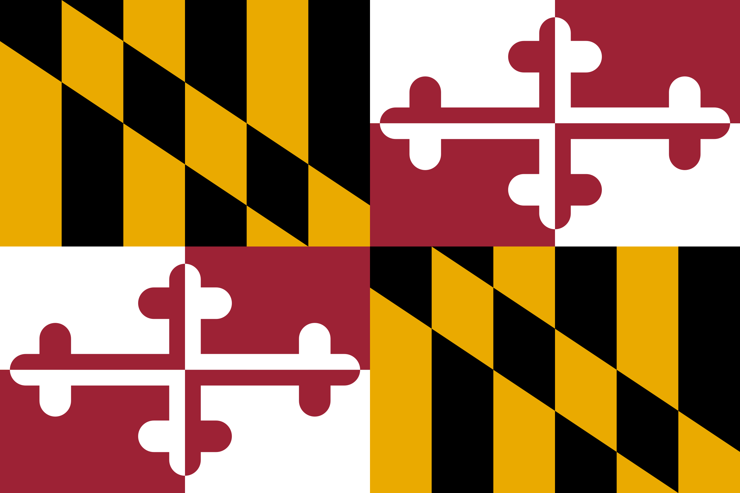 Maryland Flags - Action Flag
