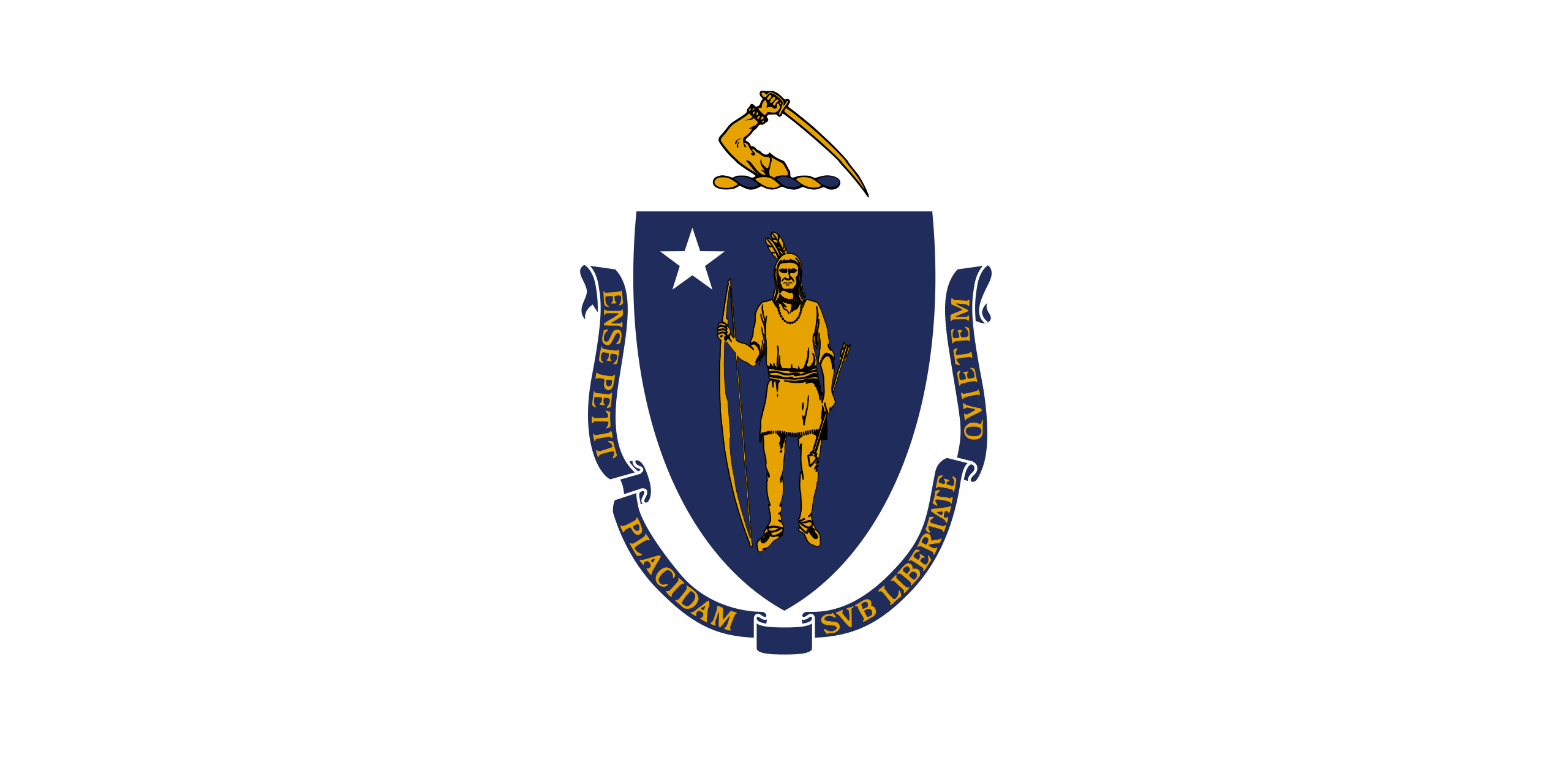 Massachusetts Flags - Action Flag