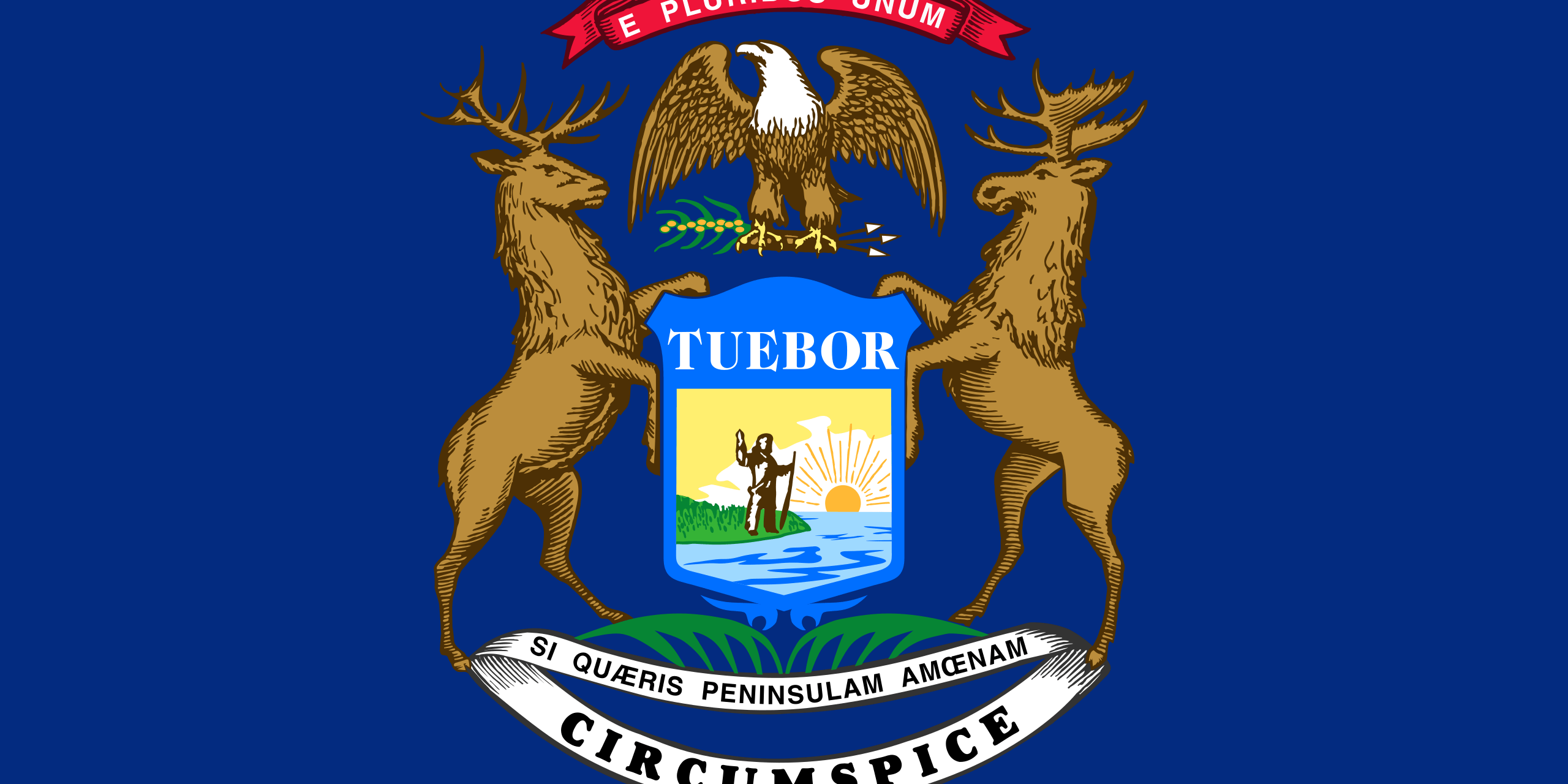 Michigan Flags - Action Flag