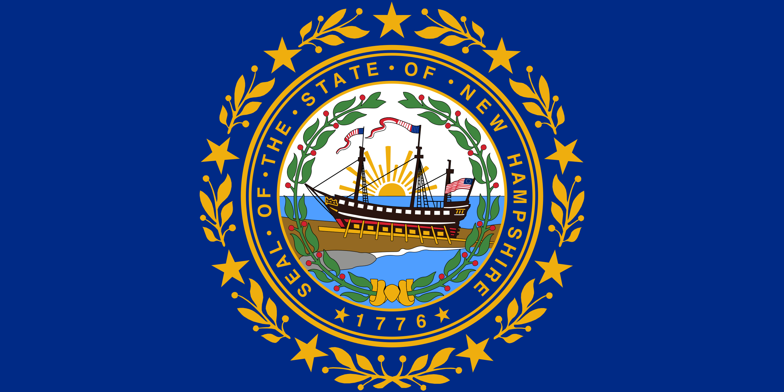 New Hampshire Flags - Action Flag