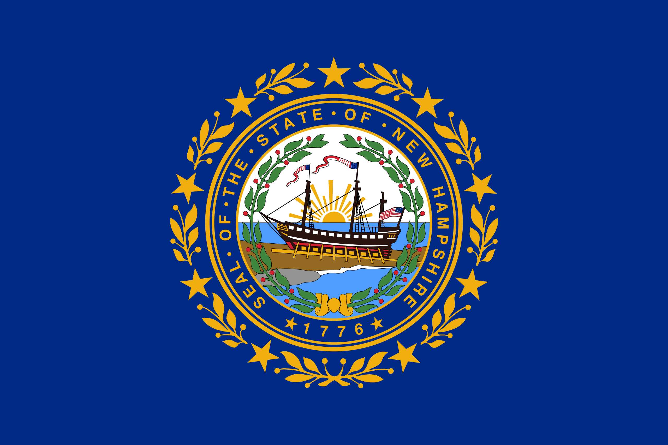 New Hampshire Flags - Action Flag