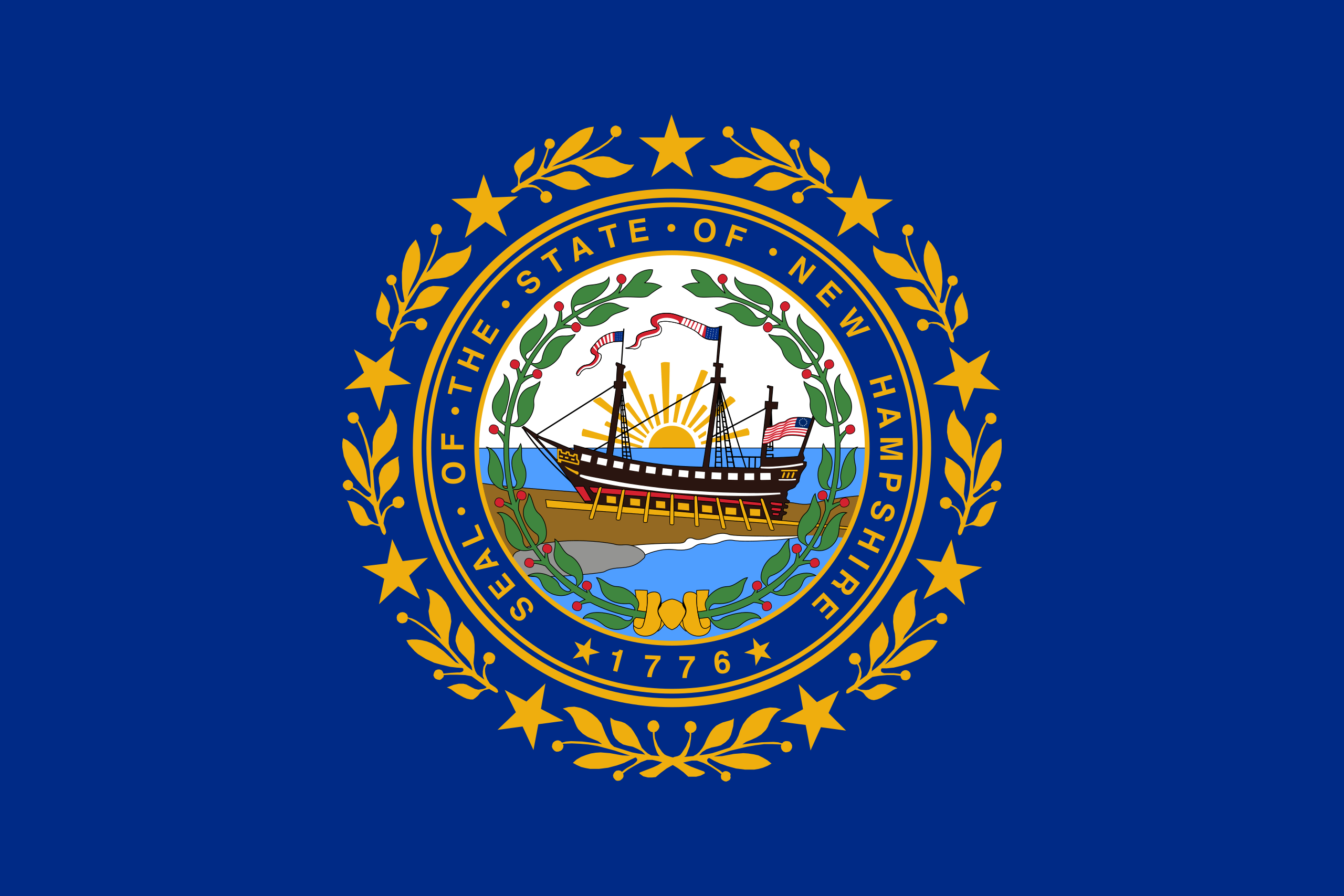 New Hampshire Flags - Action Flag