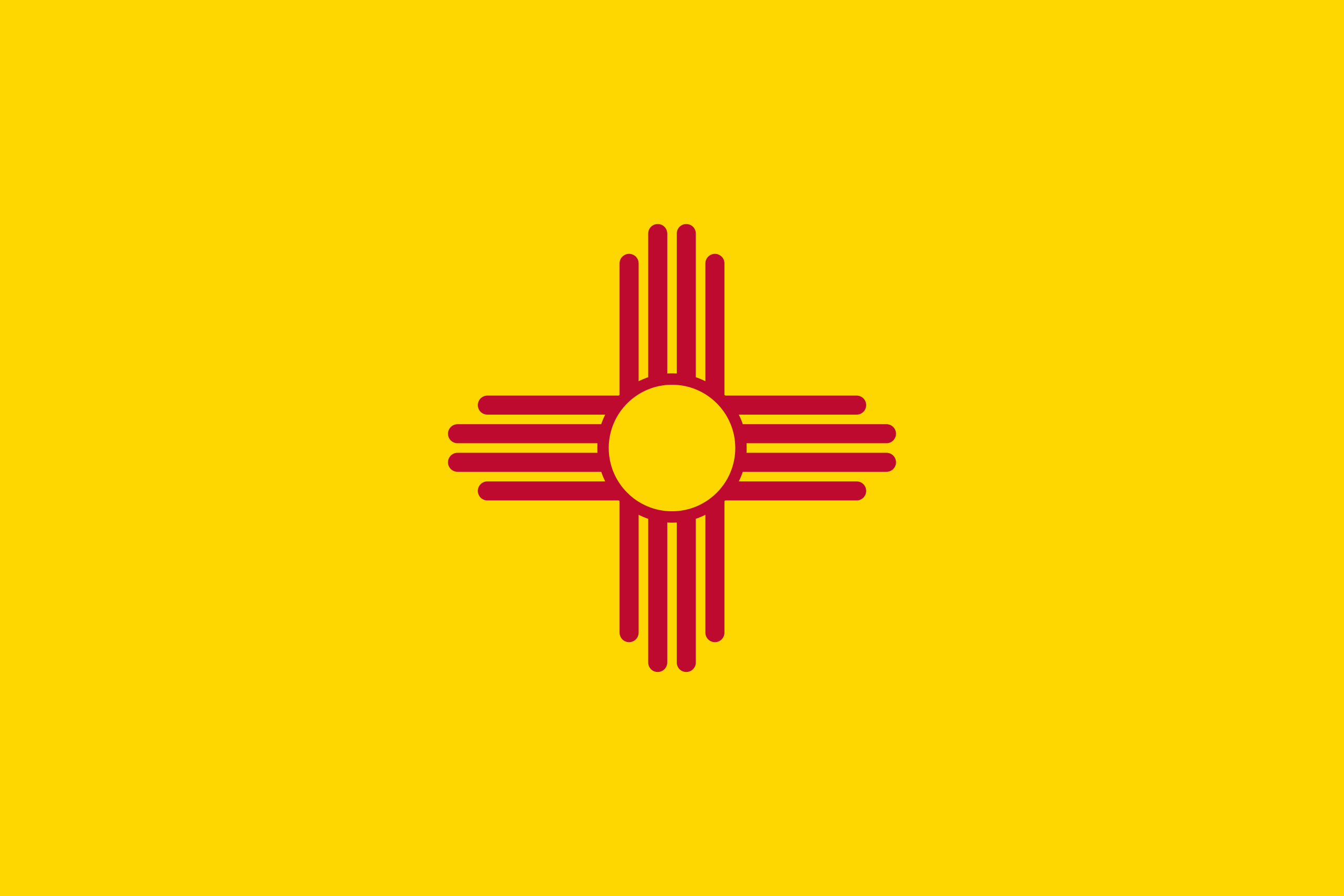 New Mexico Flags - Action Flag