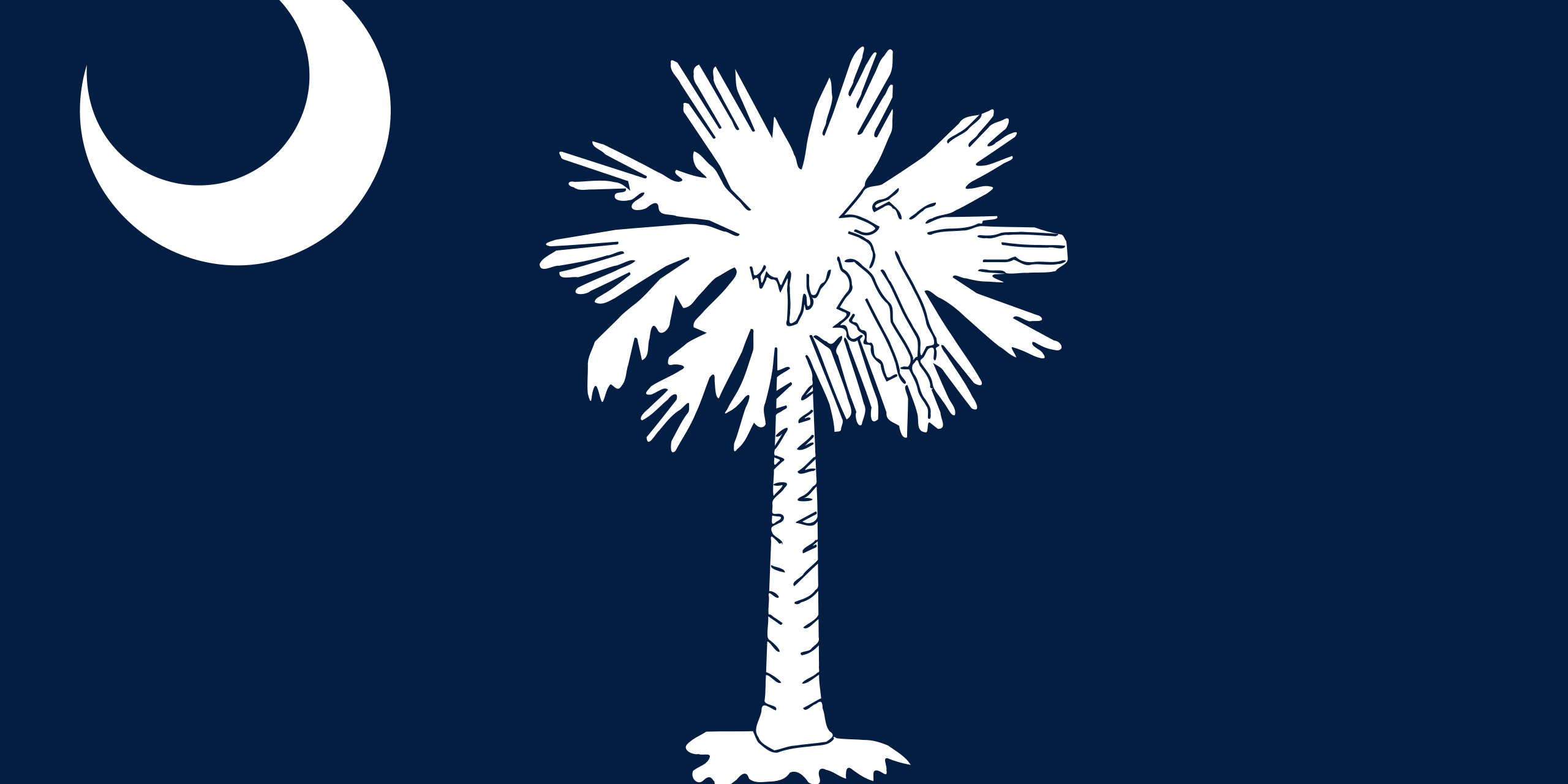 South Carolina Flags - Action Flag