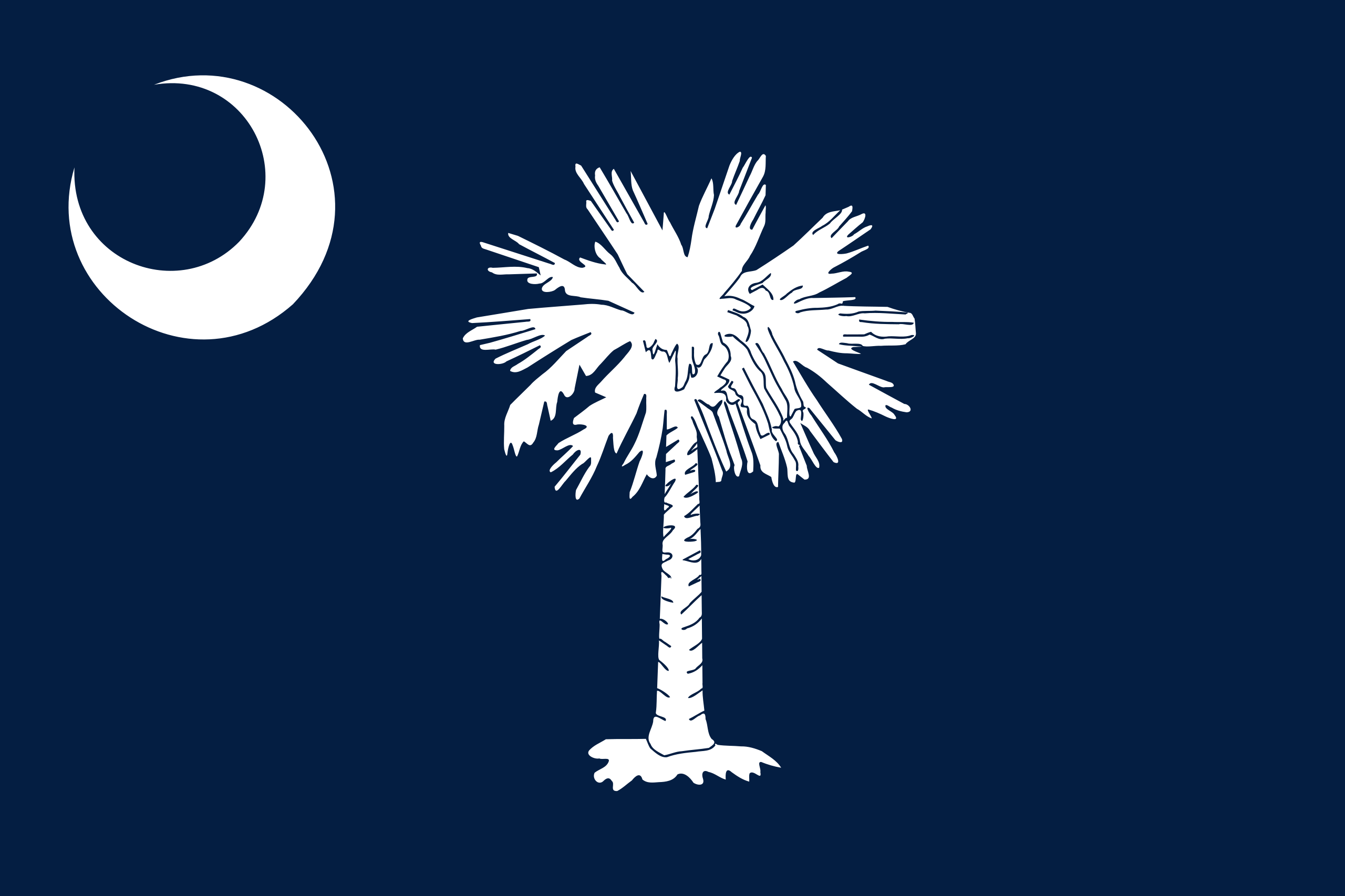 South Carolina Flags - Action Flag