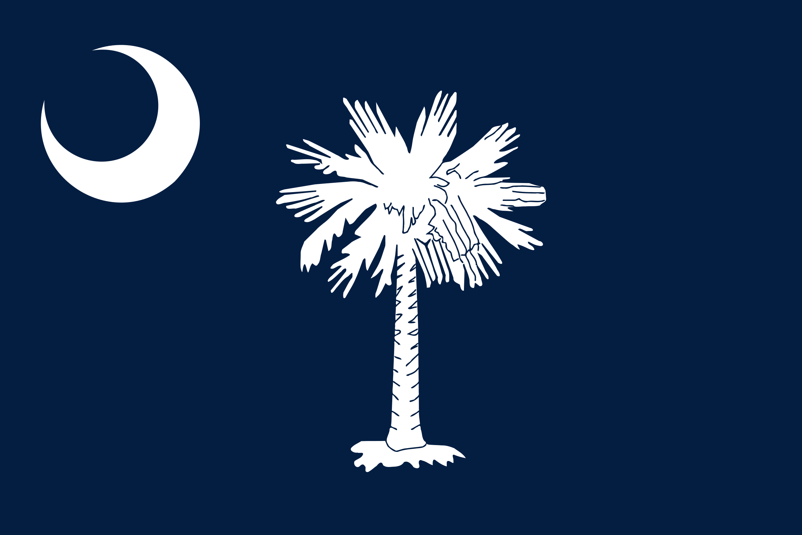 South Carolina Flags - Action Flag