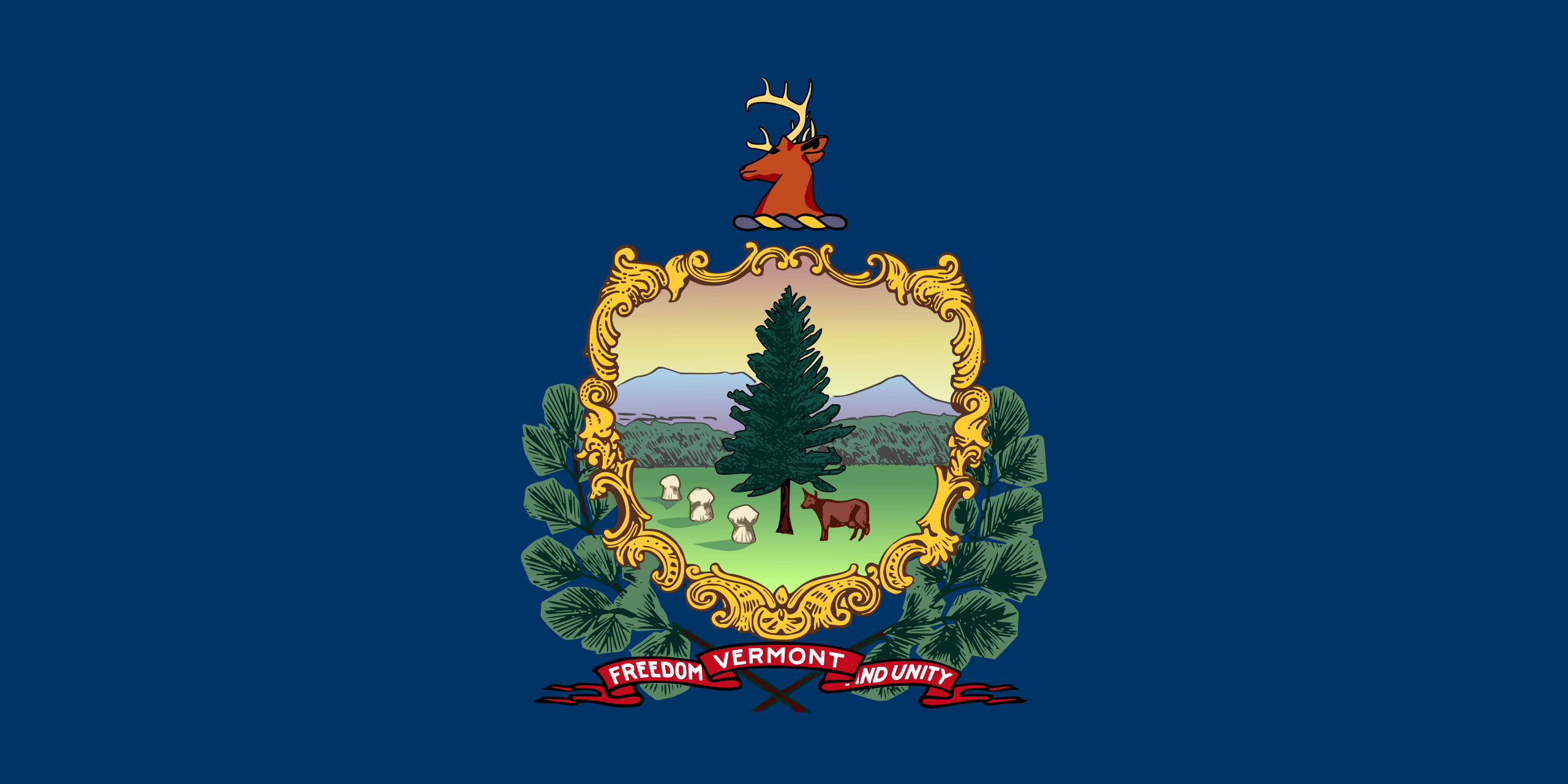 Vermont Flags - Action Flag