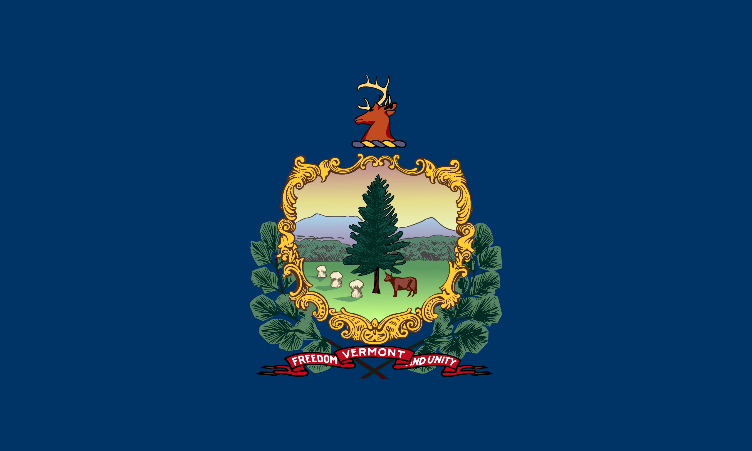 Vermont Flags - Action Flag