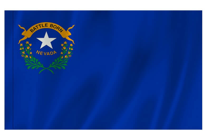 Nevada Nylon Indoor Flag with Sleeve and Fringe