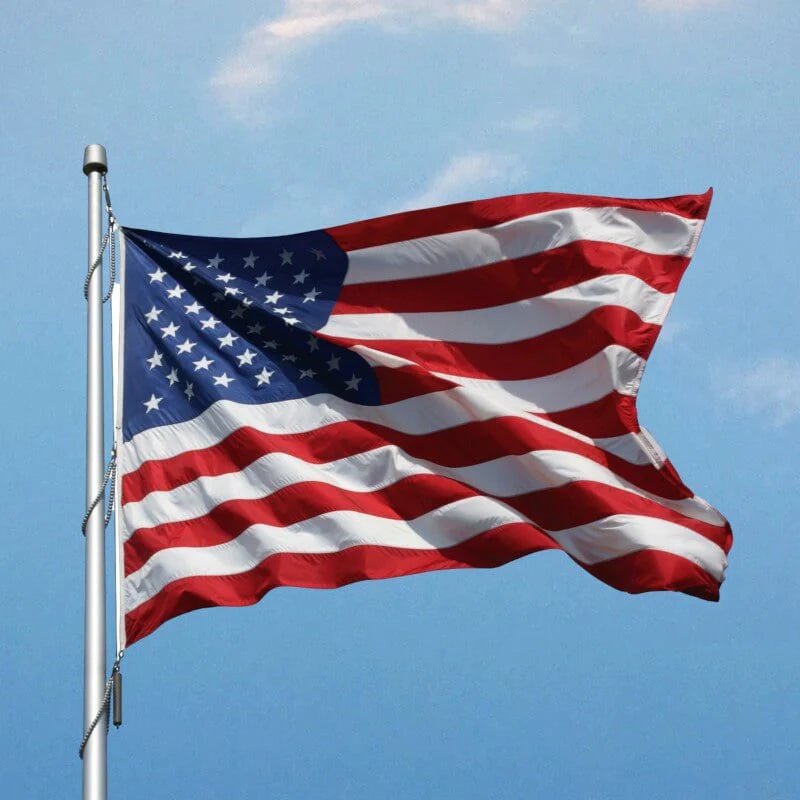American Flag - Standard Nylon Outdoor U.S. Flag. Sewn Stripes and Embroidered Stars. Fly End Lock Stitching. 100% Made in the USA! (Good) - Action Flag