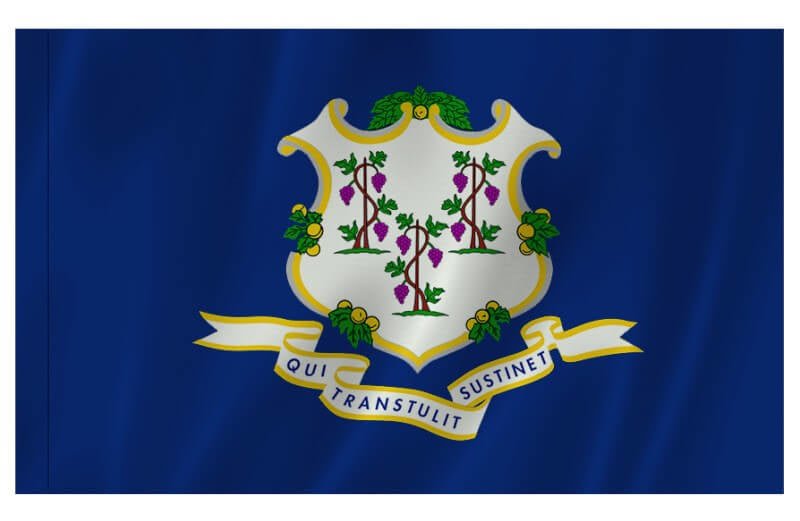 Connecticut Nylon Indoor/Outdoor Flag with Sleeve - Action Flag