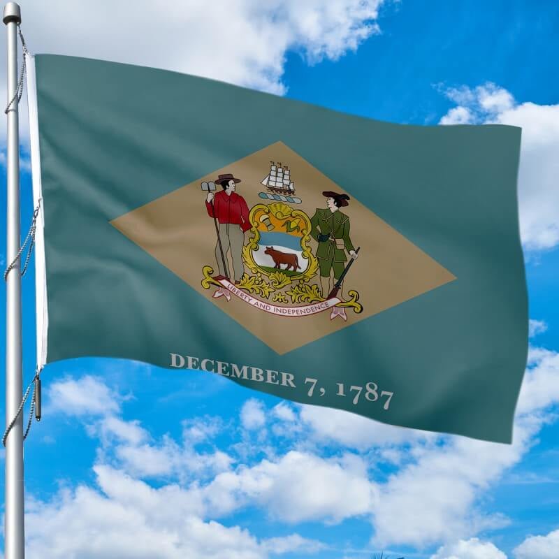 Delaware Heavy Weight Poly - Max Outdoor Flag - Action Flag