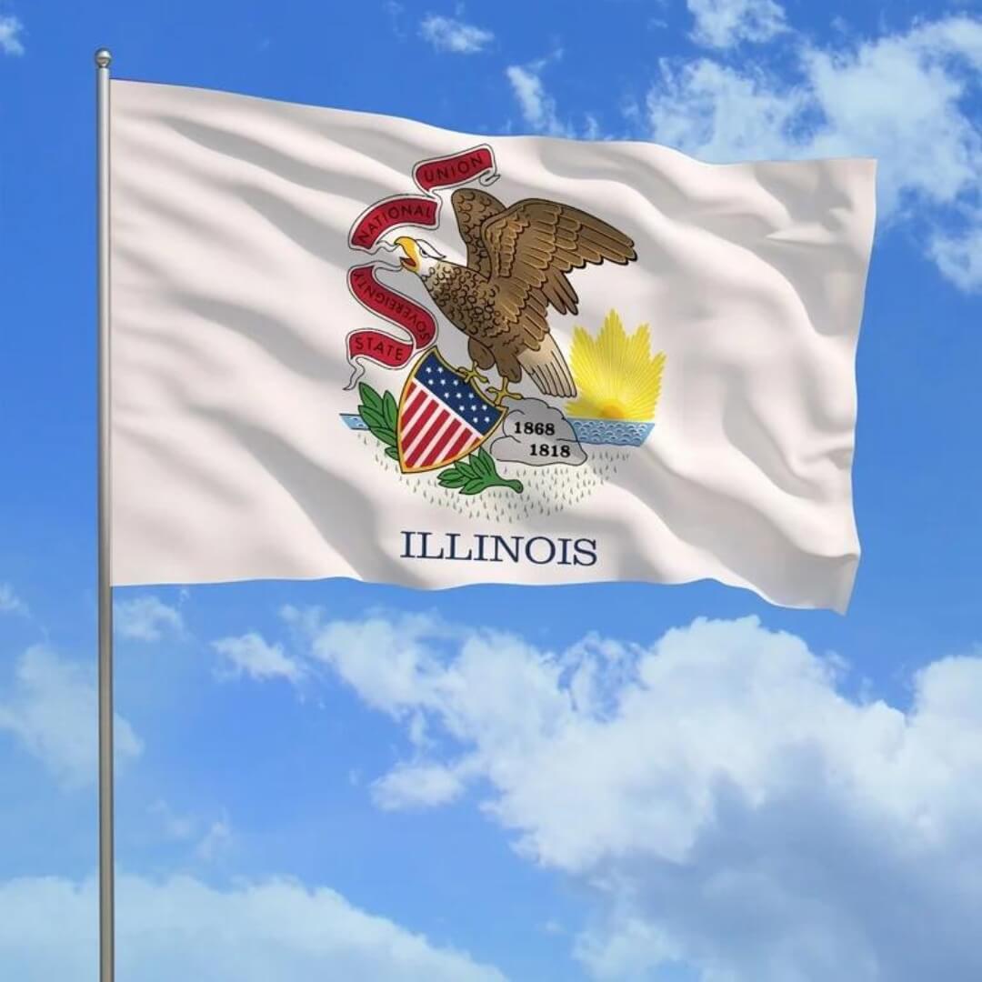 Illinois Nylon Outdoor Flag - Action Flag