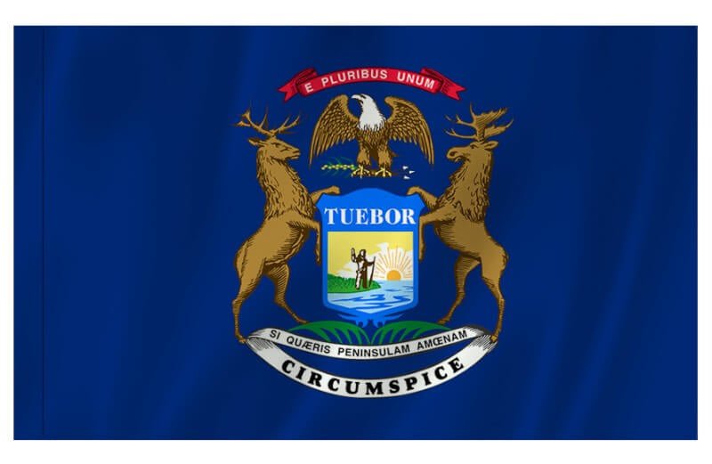 Michigan Nylon Indoor Flag with Sleeve and Fringe - Action Flag