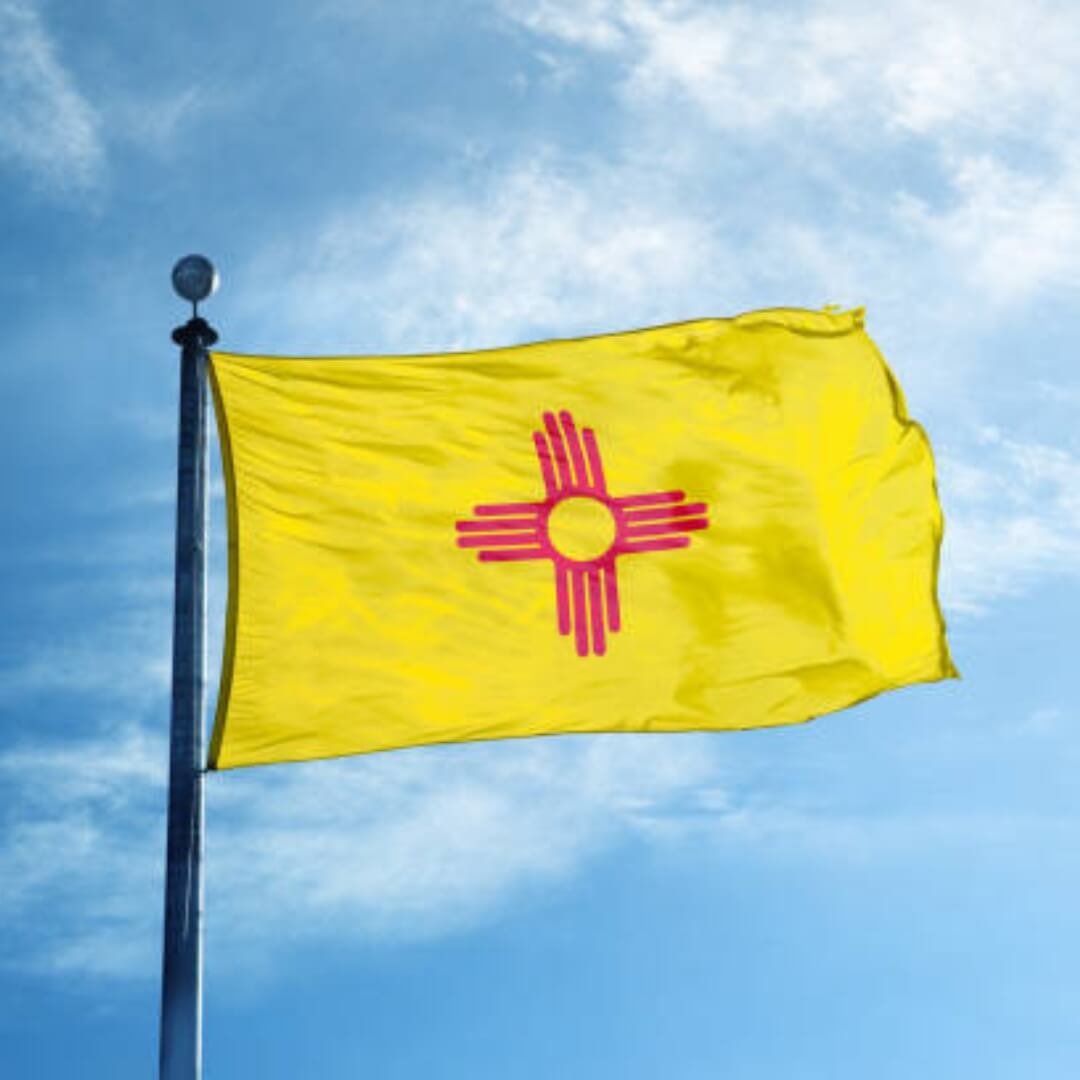 New Mexico Nylon Outdoor Flag - Action Flag