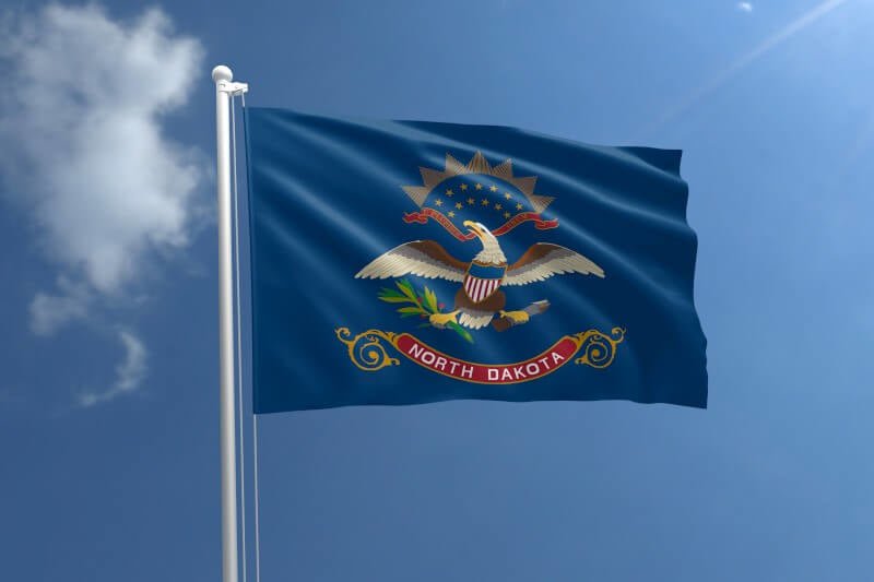 Outdoor Flag with Sleeve - Action Flag