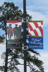Veteran Memorial Street Pole Banner - Action Flag