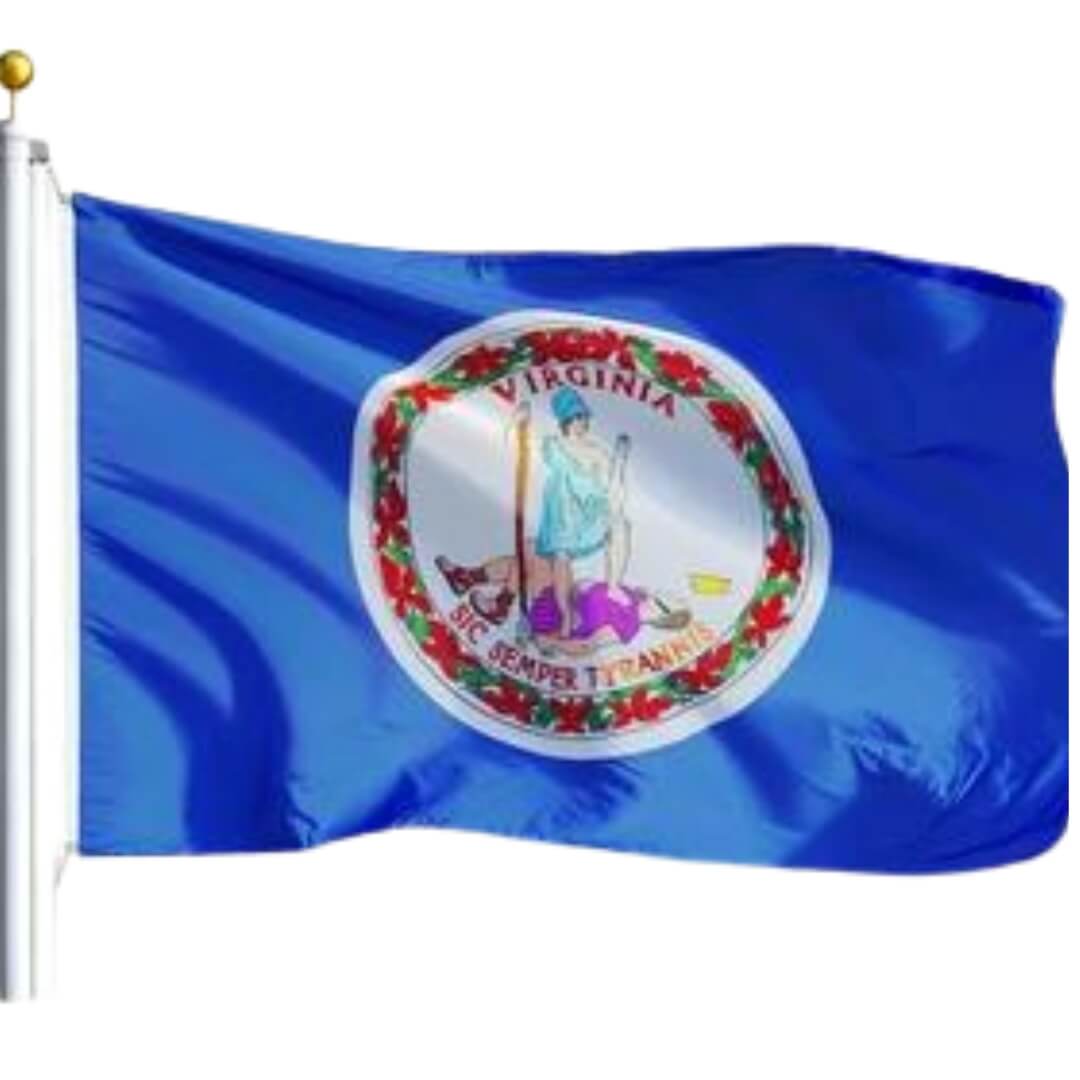 Virginia Nylon Outdoor Flag - Action Flag
