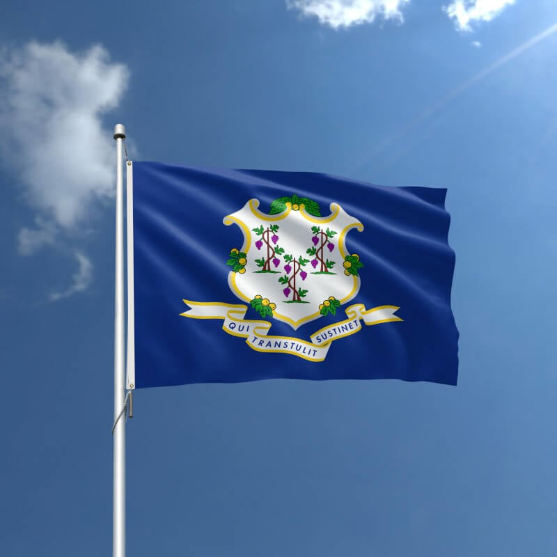 Connecticut Nylon Outdoor Flag