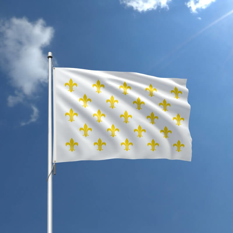 Fleur-De-Lis (White-23) Historical Outdoor Flag 