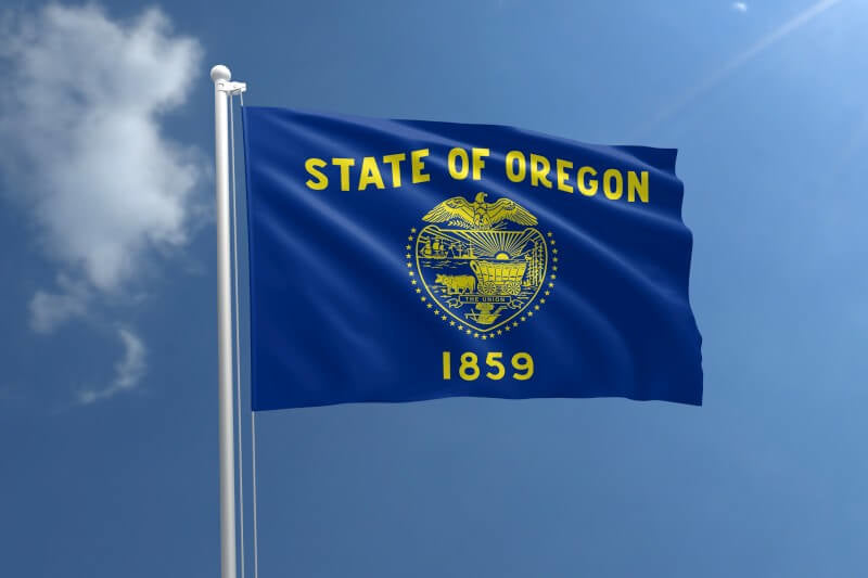 A product picture of a Oregon Nylon Outdoor Flag Provided by Action Flag.