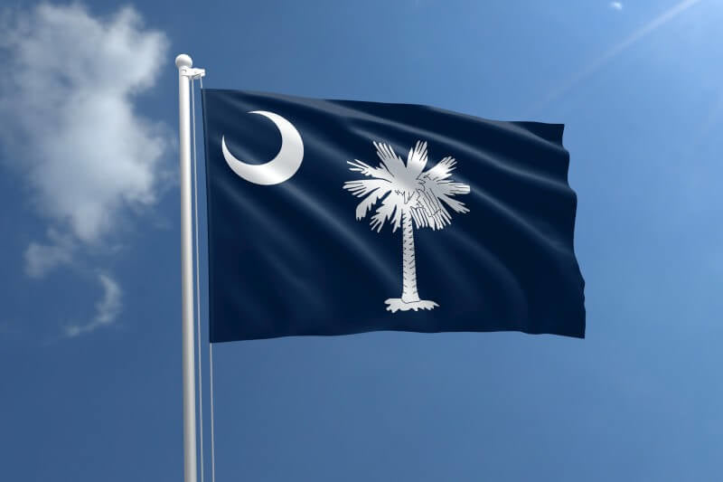 A product picture of a South Carolina Nylon Outdoor Flag Provided by Action Flag.