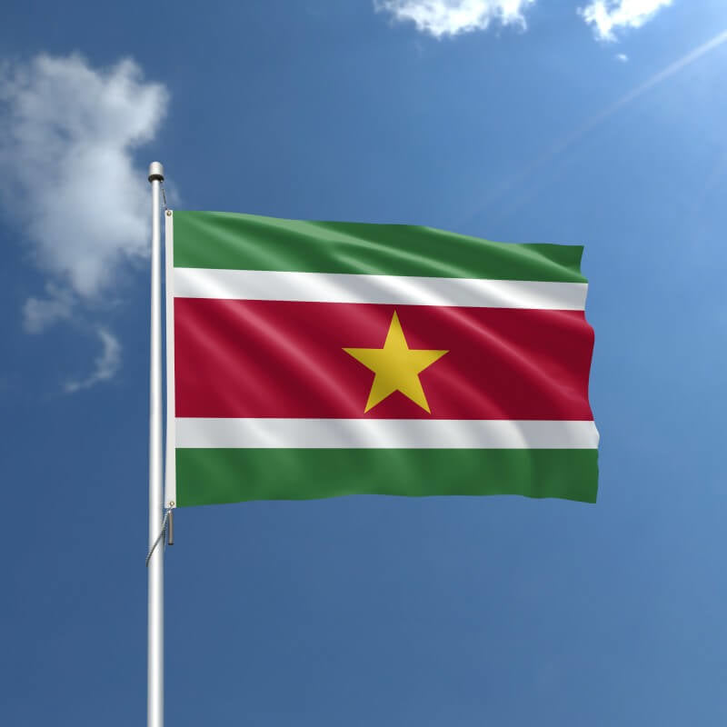 A product picture of a Suriname Nylon Outdoor Flag Provided by Action Flag.