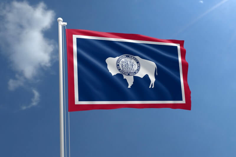 A product picture of a West Virginia Nylon Outdoor Flag Provided by Action Flag.