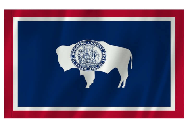A product picture of a Wyoming Nylon Indoor/Outdoor Flag with Sleeve Provided by Action Flag.
