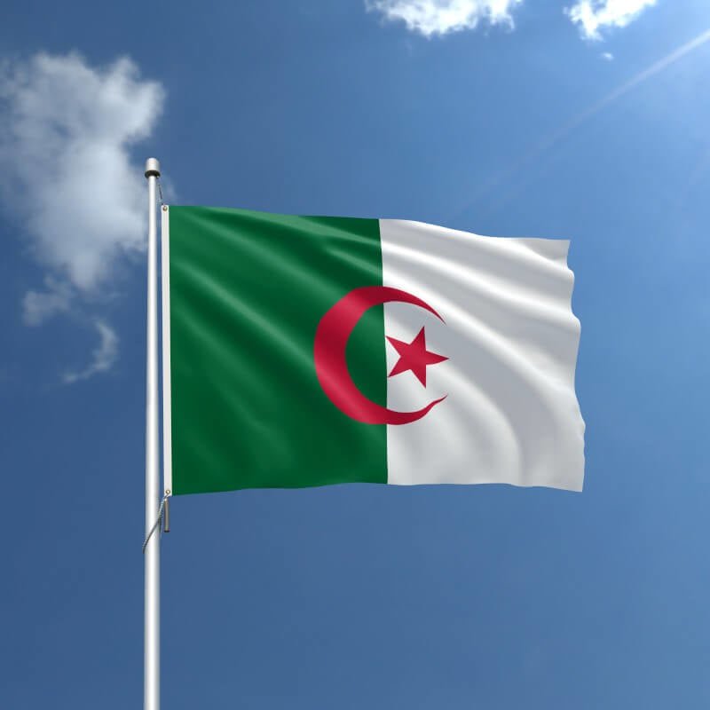 Algeria Nylon Outdoor Flag - Action Flag