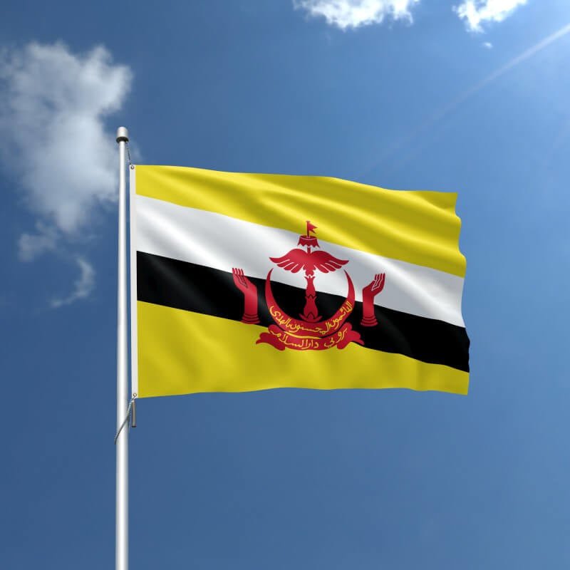 Brunei Nylon Outdoor Flag - Action Flag