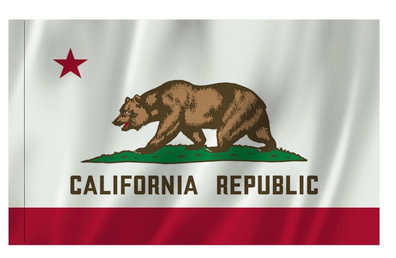 Outdoor Flag with Sleeve - Action Flag