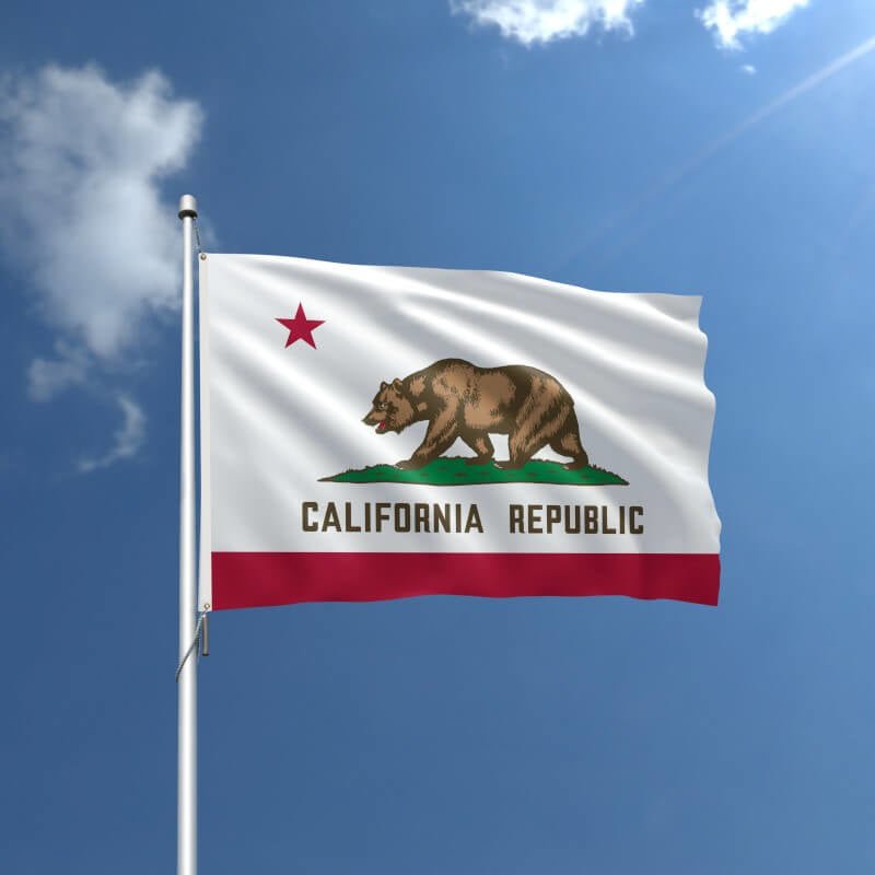 California Nylon Outdoor Flag - Action Flag