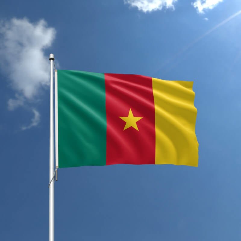 Cameroon Nylon Outdoor Flag - Action Flag
