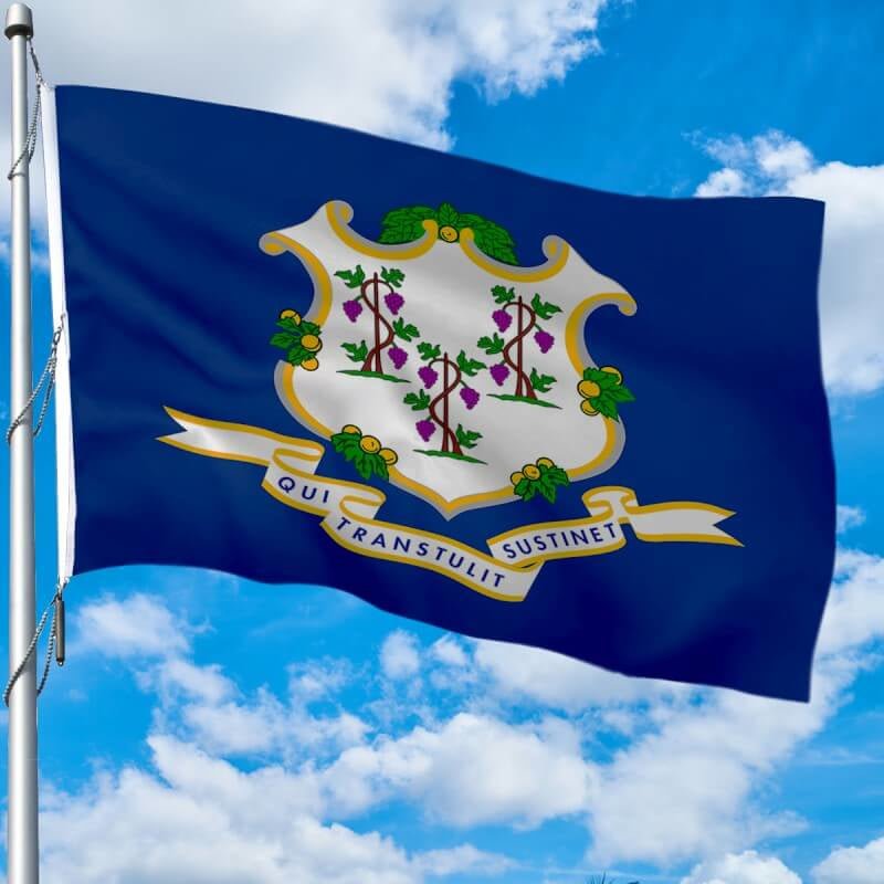 Connecticut Heavy Weight Poly - Max Outdoor Flag - Action Flag