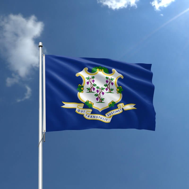 Connecticut Nylon Outdoor Flag - Action Flag