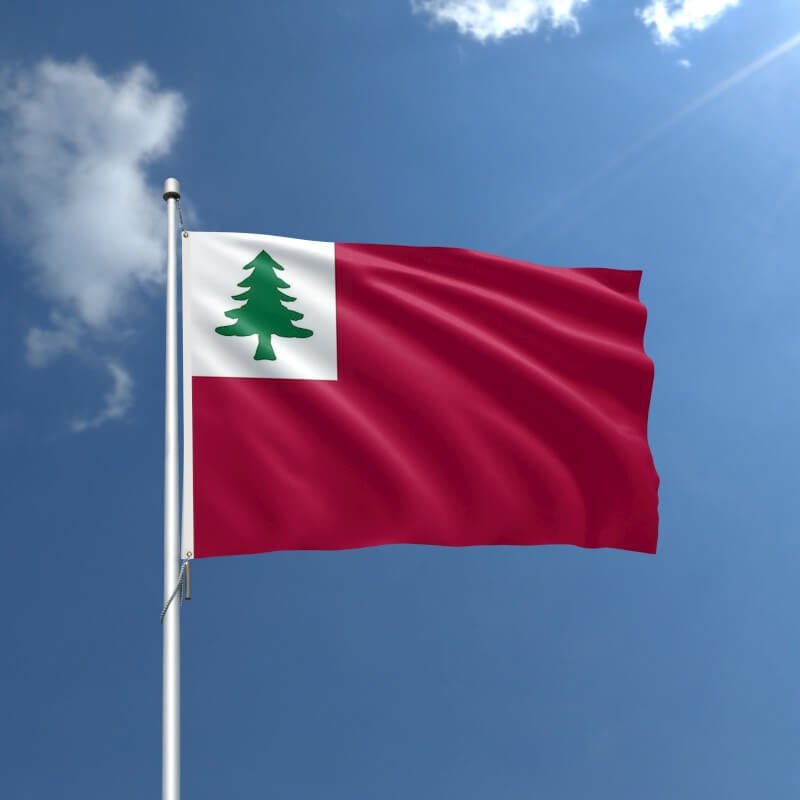 Continental Historical Outdoor Flag - 3' x 5' Nylon - Action Flag